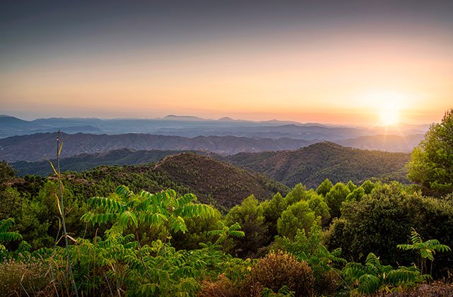 Parque Natural Montes de Málaga Atardecer