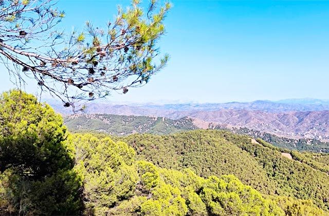 Parque Natural Montes de Málaga