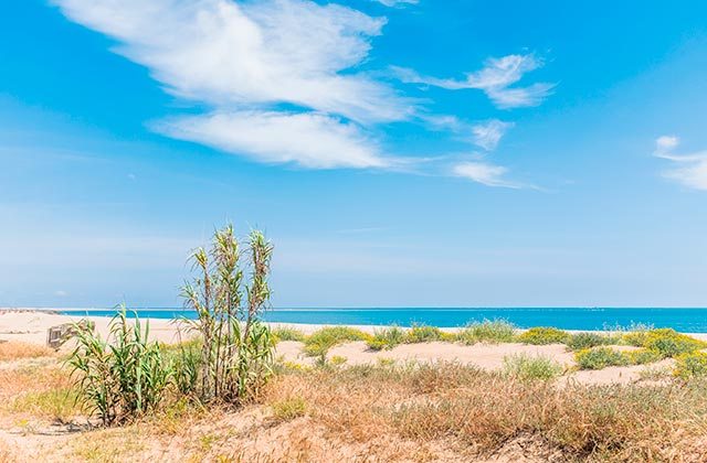 Playa de Isla Canela en Ayamonte