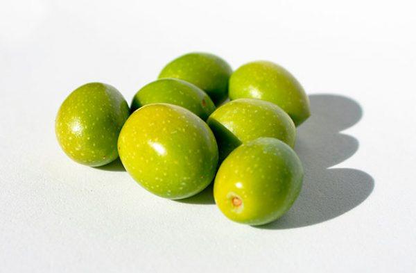 Andalucian olives, the things you didn’t know about them