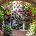 Primavera en Andalucía - Patios de Cordoba