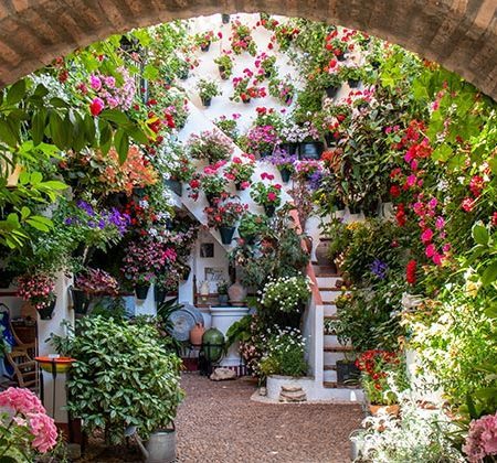 Primavera en Andalucía - Patios de Cordoba