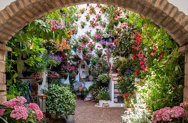 Primavera en Andalucía - Patios de Cordoba