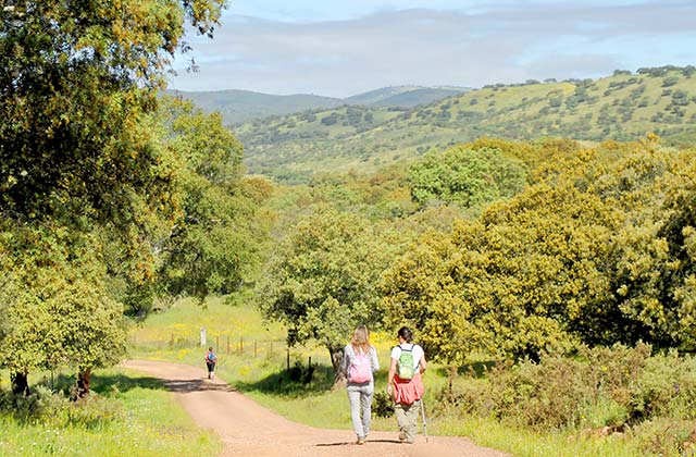 Senderismo sierra de Aracena