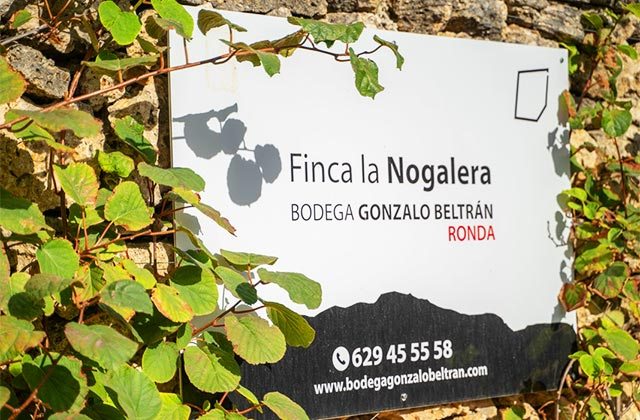 Bodega Gonzalo Beltrán Finca La Nogalera