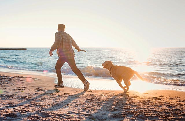 Plage pour chiens d'Arroyo de Totalán