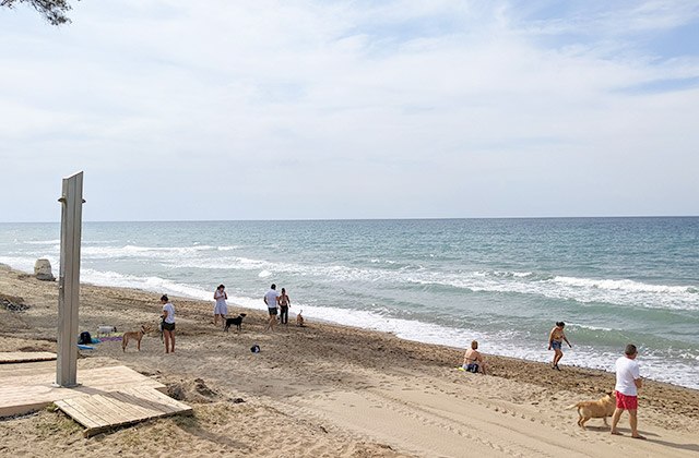 Playas caninas en Marbella