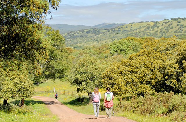 Sierra de Aracena senderirsmo 