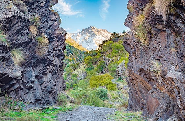 Parque Nacional Natural de Sierra Nevada