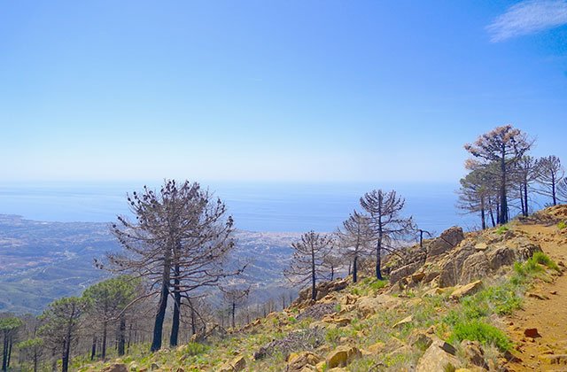 rutas senderismo Estepona
