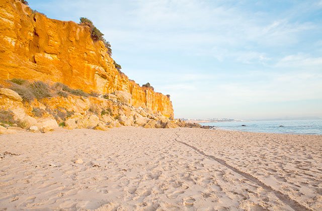 Playa Cala del Aceite