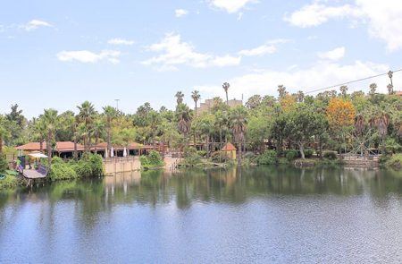 Selwo Aventura - Parques temáticos para familias en Málaga y la Costa del Sol