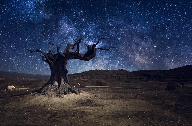 Cielo nocturno Tabernas