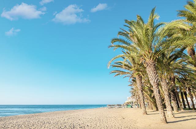 Torremolinos, playa con palmeras