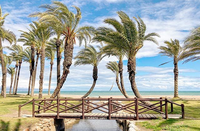 Torremolinos, playa con palmeras