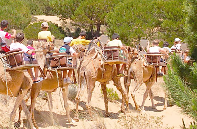 Visita Doñana en camello - Crédito donanavisitas.es