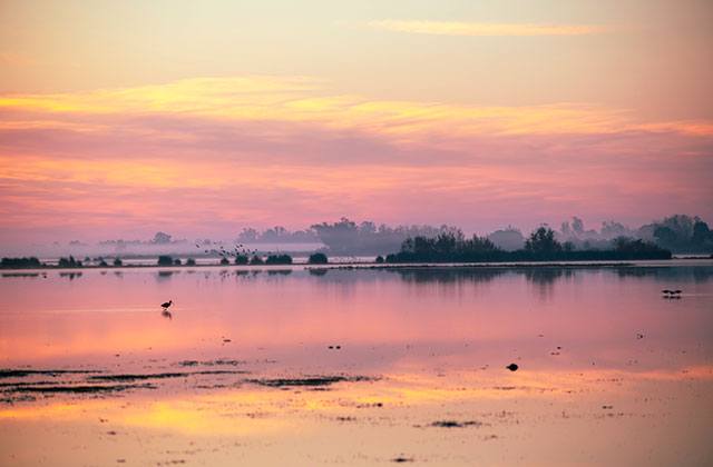 Doñana Invierno