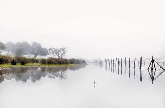 Doñana Otoño