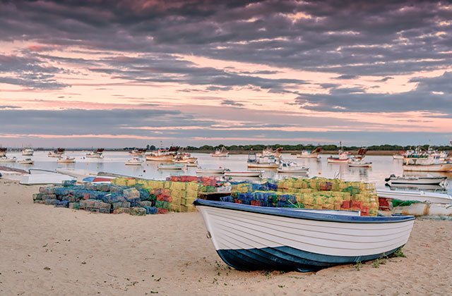 Marisma del Odiel - Barcos