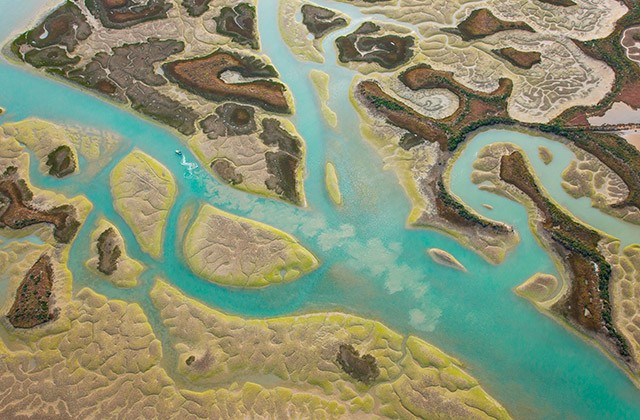 Las marismas del Odiel